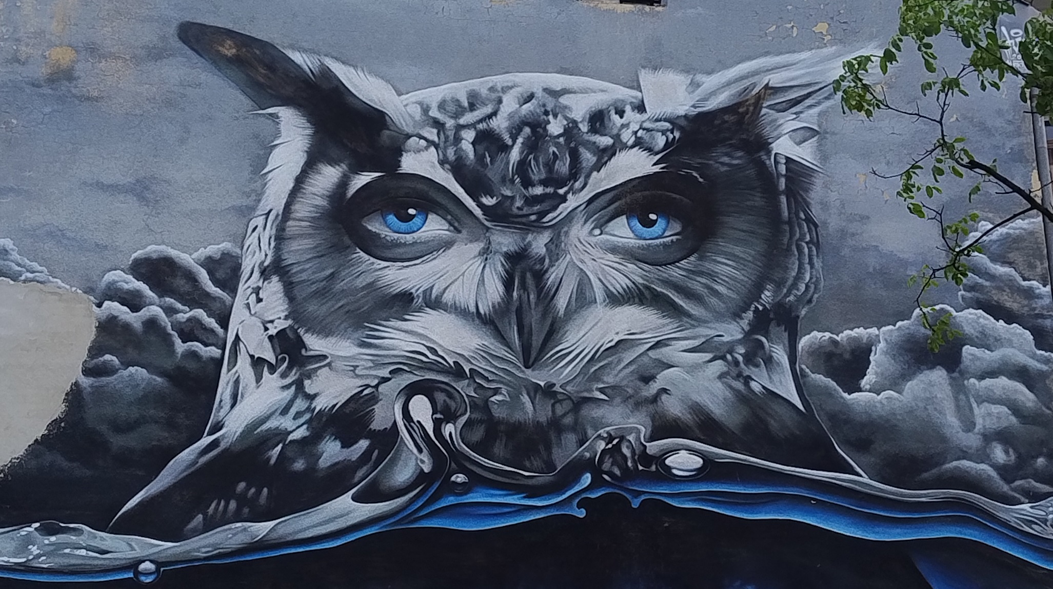 Na zdjęciu Murale Bielska-Białej