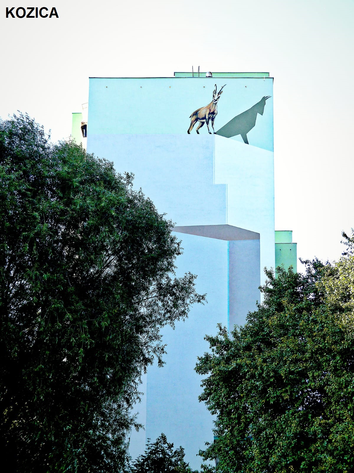 photo gallery image 01