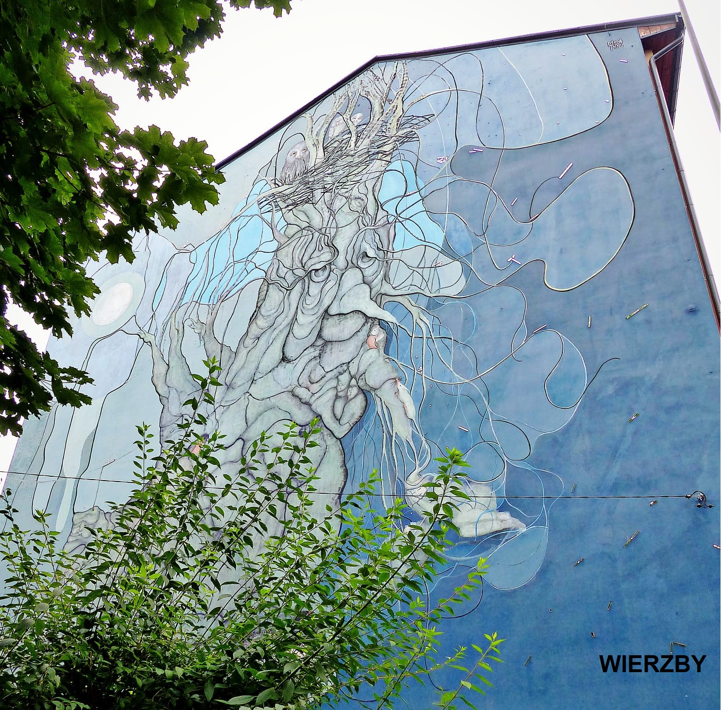 photo gallery image 01