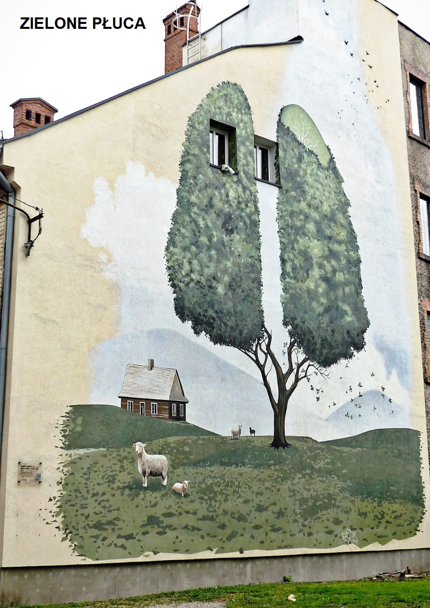 photo gallery image 01