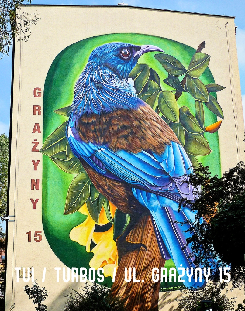 photo gallery image 01