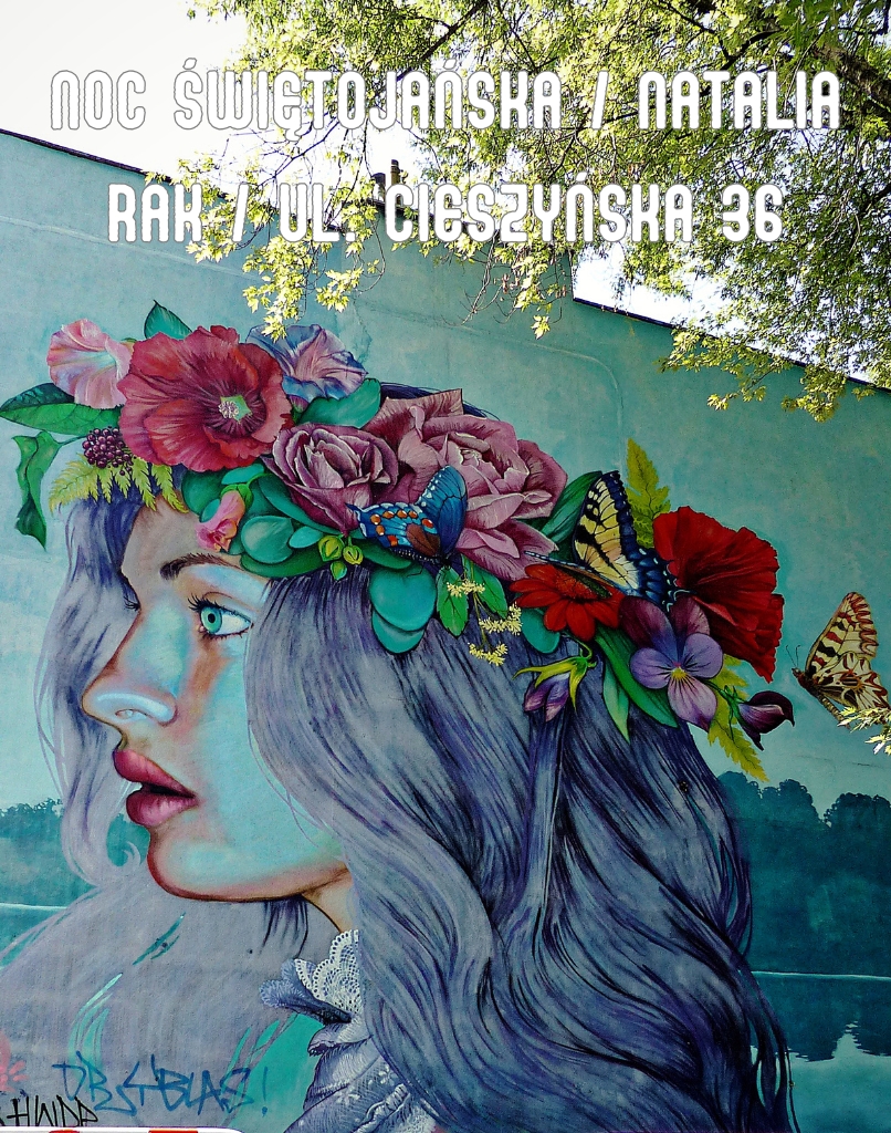 photo gallery image 01