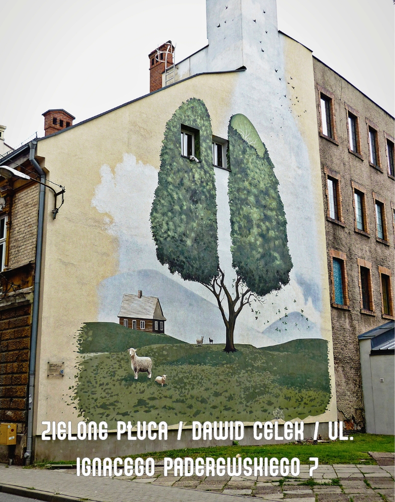 photo gallery image 01