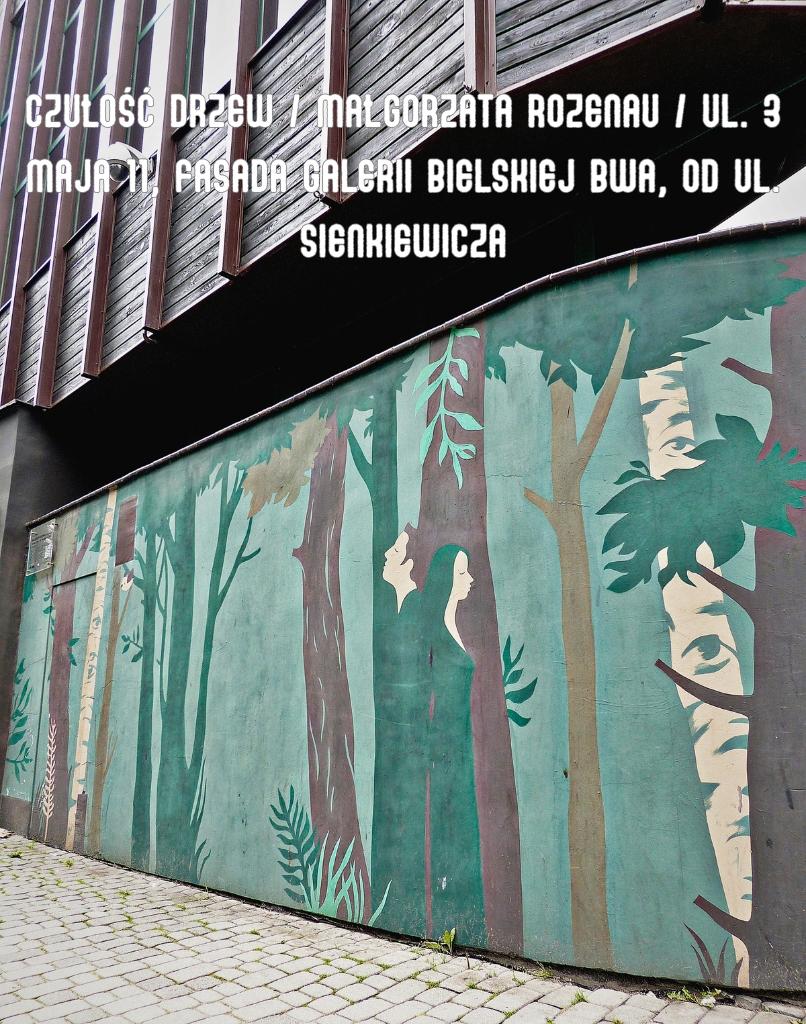 photo gallery image 01